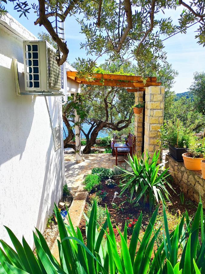 Donje Selo na ŠoltiWeekend House Olive Garden别墅 外观 照片
